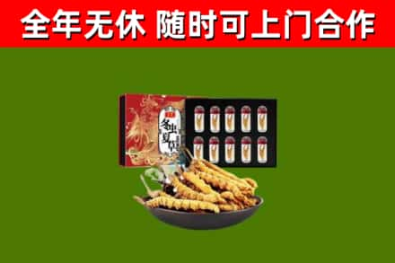 东洲回收冬虫夏草价格